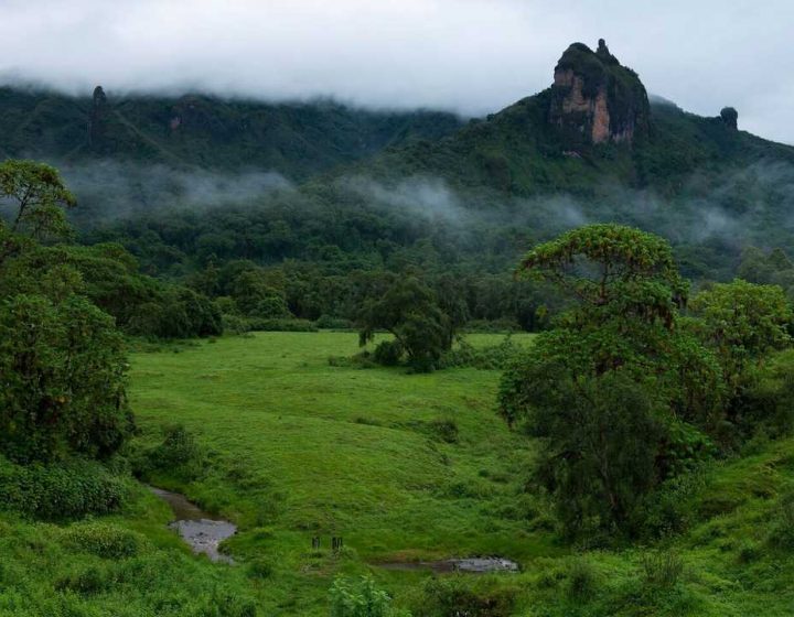 Bale Mountains